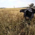 scarecrow-in-wheat-field_Algeria