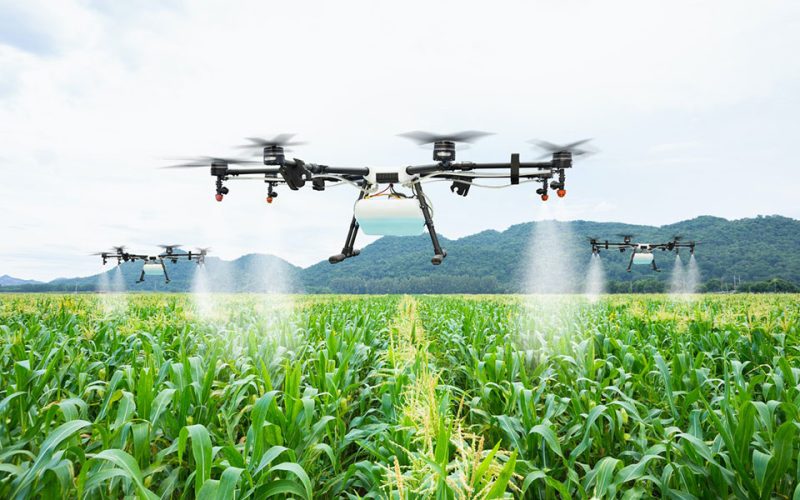 Using AI in agriculture could boost global food security – but we need to anticipate the risks
