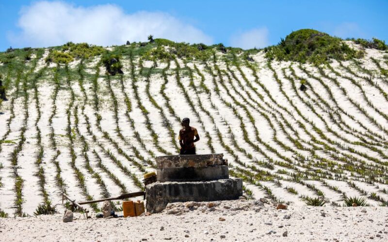 Madagascans stave off encroaching dunes with plants
