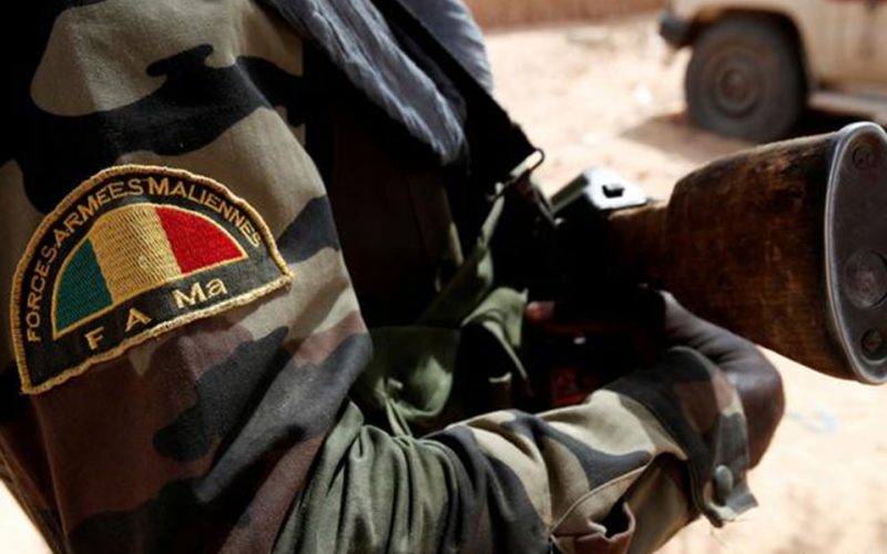 Malian, foreign soldiers allegedly killed hundreds in town siege