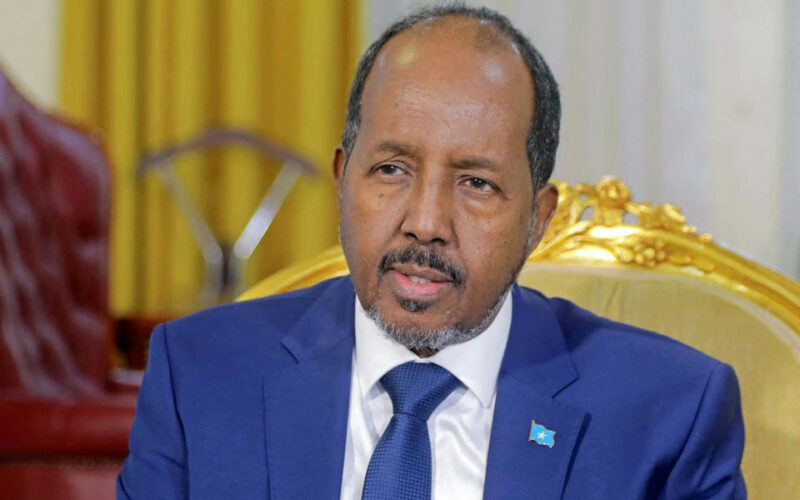 Somali president tests positive for COVID-19