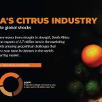 Africa’s citrus industry buoyant despite global shocks