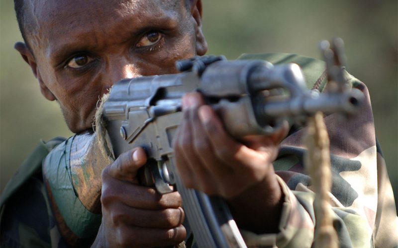 Ethiopia forces kill 85 al Shabaab fighters near Somalia, state TV and commander say