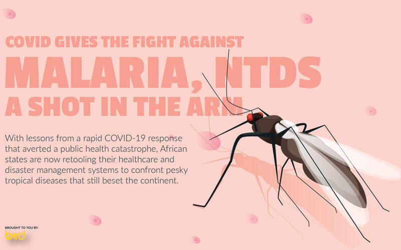 COVID gives the fight against malaria, NTDs a shot in the arm