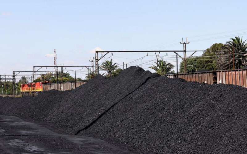 Coal industry is ‘delusional’, South Africa climate change official says