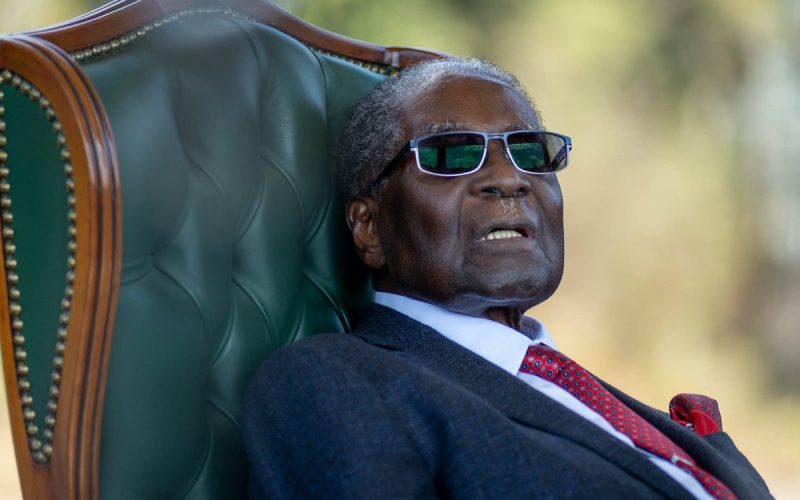 Book on Zimbabwe strongman Robert Mugabe’s legacy has many flaws