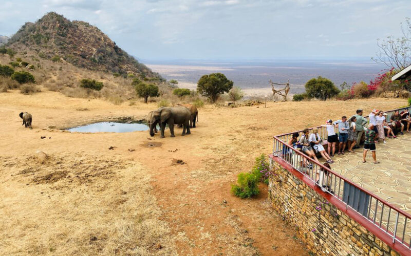 Kenya tourism earnings double as arrivals soar