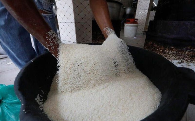 Senegal hones its home-grown rice to cut dependence on Asian imports
