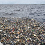 Plastic-bottles-and-other-waste