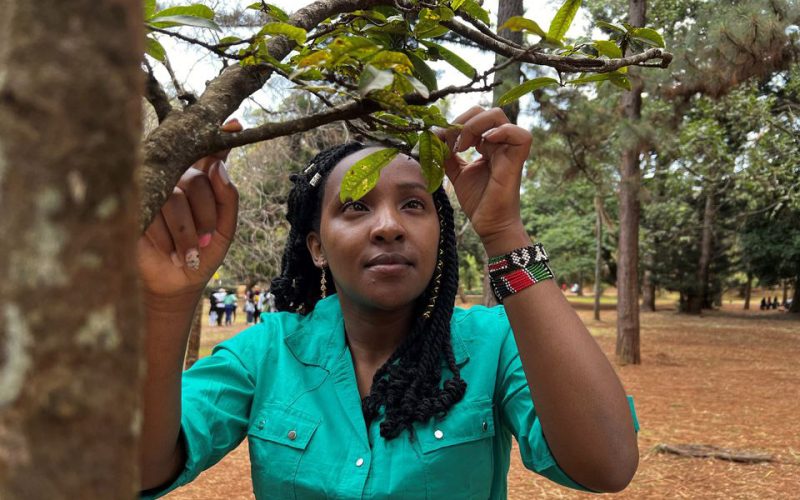 Young Kenyan tree activist speaks up for Africa at COP27
