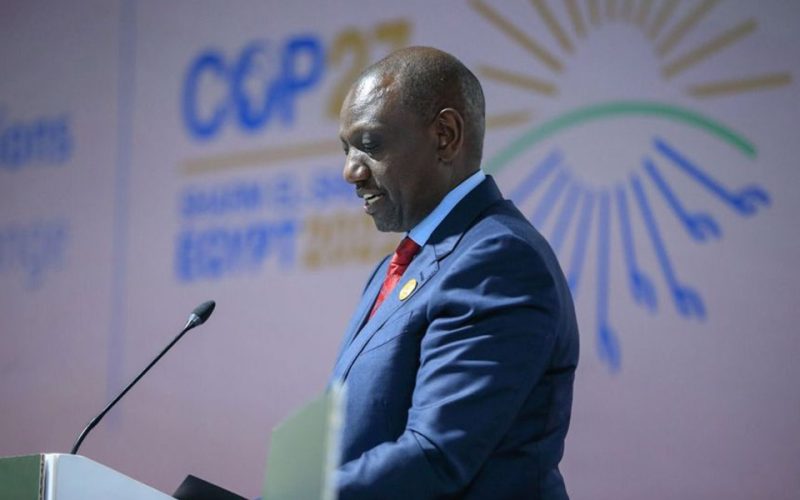 Strong commitments from African leaders at COP27 as Kenya, UK ink new green investment deal