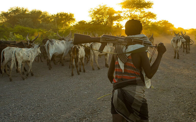 Armed conflict and climate change: how these two threats play out in Africa