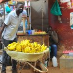 man-transporting-bananas