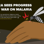 Africa_sees_progress_in_its_war_on_malaria_01