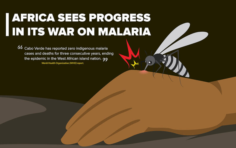 Africa sees progress in its war on malaria