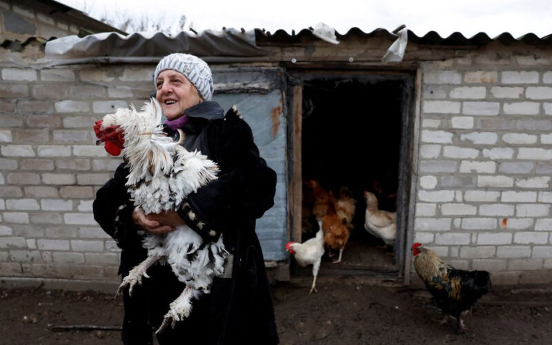 In the ruins of east Ukraine, farmers won’t leave their animals