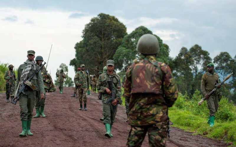 South Africa to lead new military force in the DRC: an expert on what it’s up against