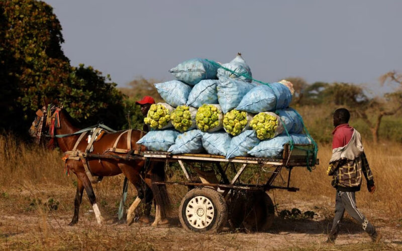 $30-billion plan to help Africa feed itself