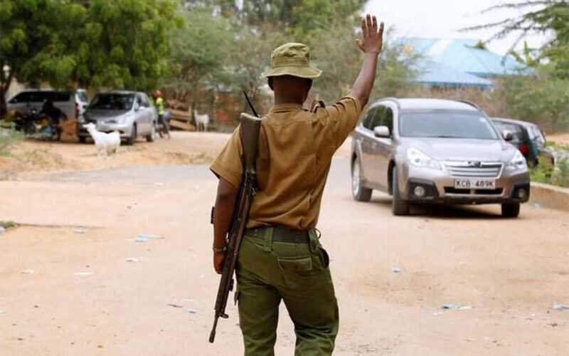 Kenyan security forces kill 10 suspected al Shabaab fighters