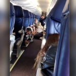 Passengers_Aeromexico-165-Culiacan
