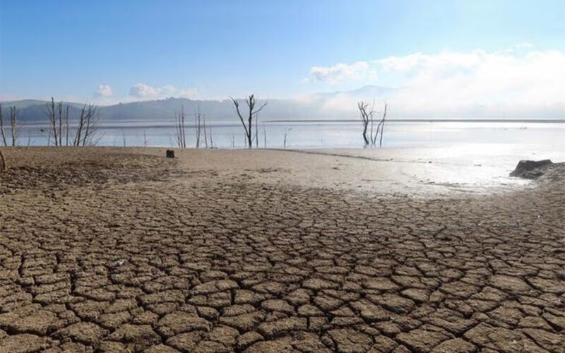 ‘Dangerous’ Tunisian droughts threaten food security