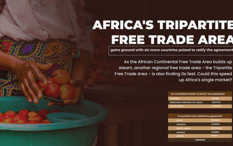 Africa’s Tripartite Free Trade Area gains ground with six more countries poised to ratify the agreement