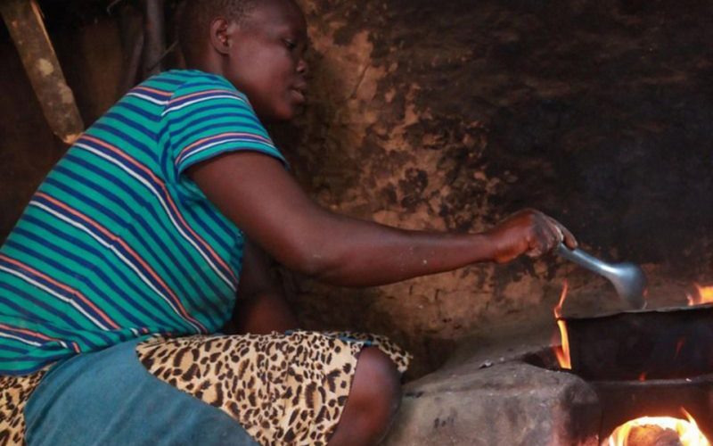 A carbon fund means village women in Kenya can protect the country’s only tropical rainforest