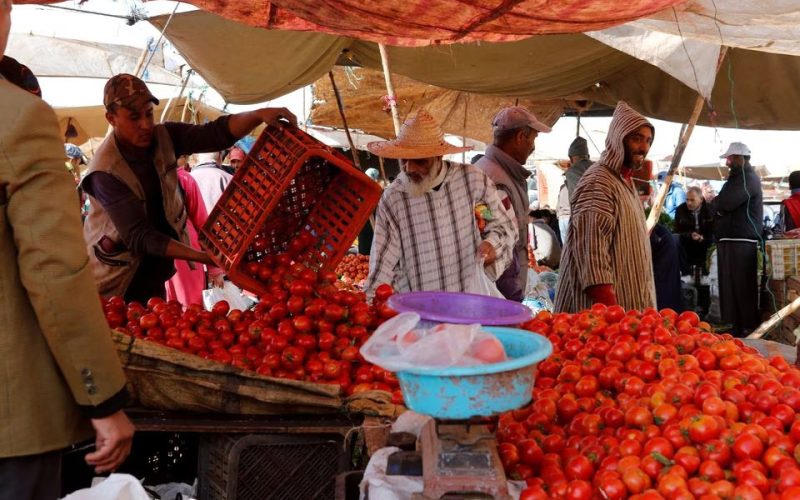 Morocco restricts tomato exports over high domestic prices