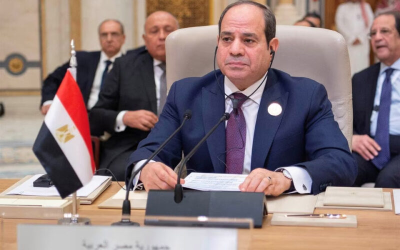 Egyptian troops held in Sudan were not there to support any party -Sisi