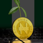 African_Central_banks_are_proceeding_cautiously_with_digital_currencies