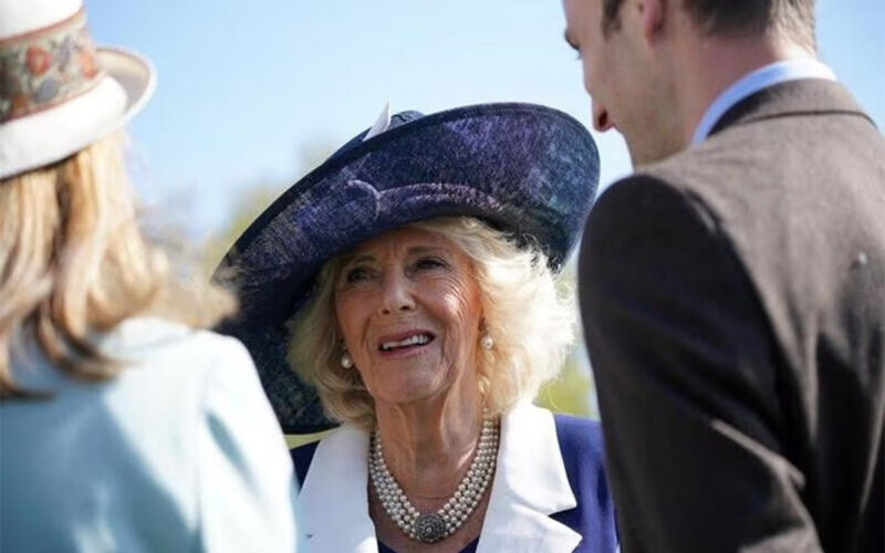 From ‘Rottweiler’ to queen – the reinvention of King Charles’ wife Camilla