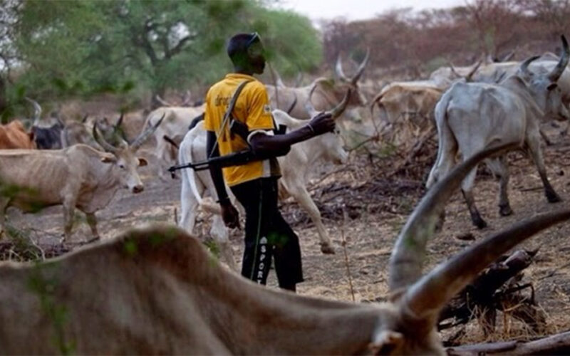 Deaths from latest Nigerian inter-communal clashes pass 100