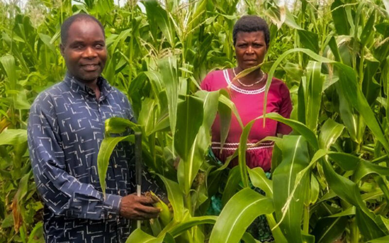 The farmer who tells his crops apart by touch