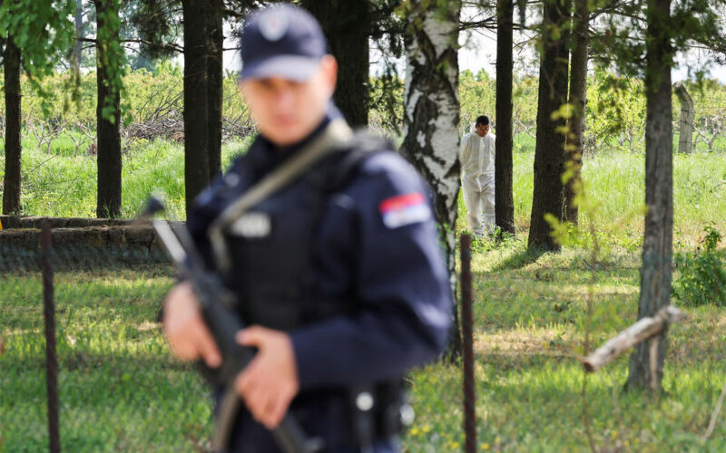 Eight killed in second Serbia mass shooting, suspect arrested