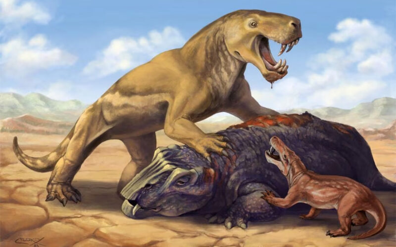 South African fossils reveal ancient beast’s epic journey to oblivion