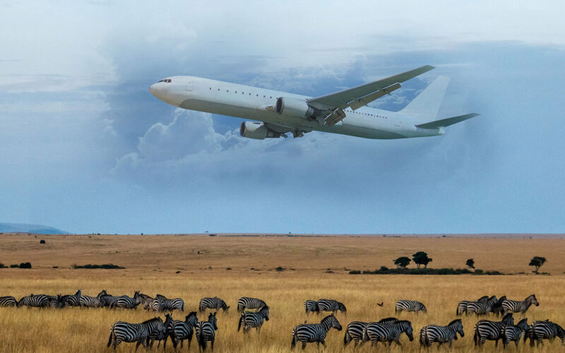 Cleaner air travel in Africa: Will a post-pandemic recovery herald greener skies for Africa’s fleet?