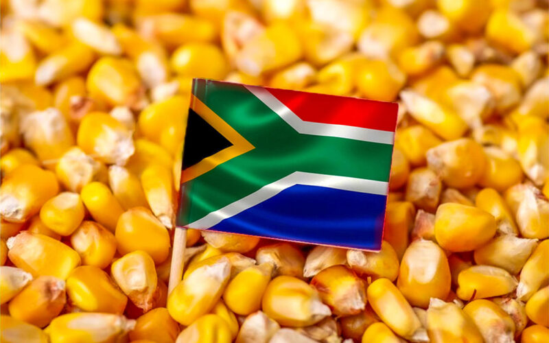 Exports to China’s huge grain market, thriving industry underpin South Africa’s agri exports – expert