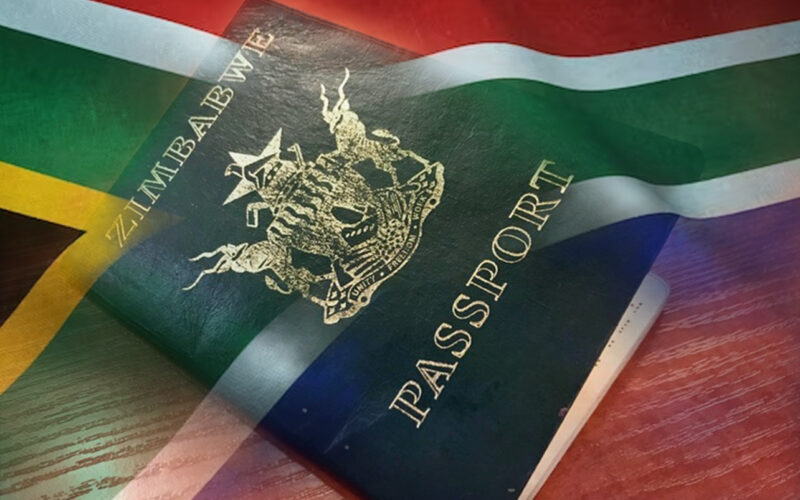 Zims in SA permit crisis: “There are legal alternatives”