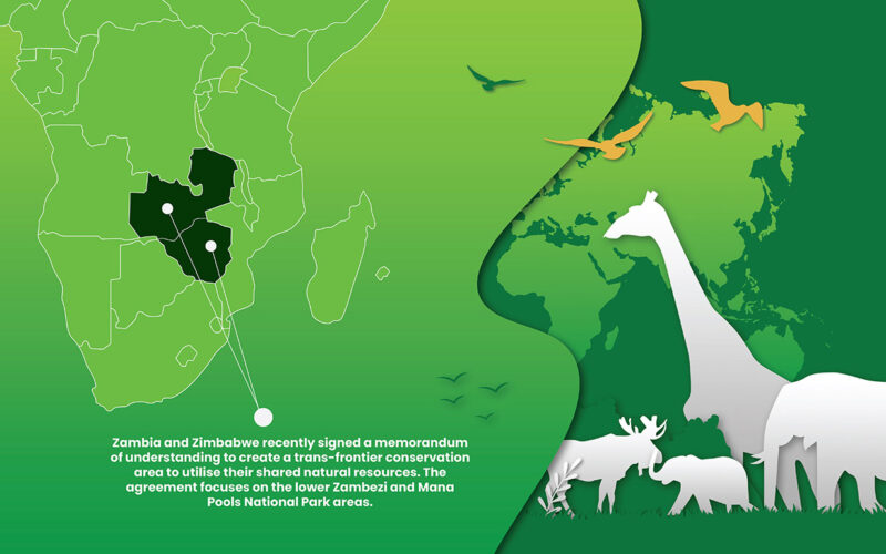 Cross-border wildlife protection continues to grow in Southern Africa