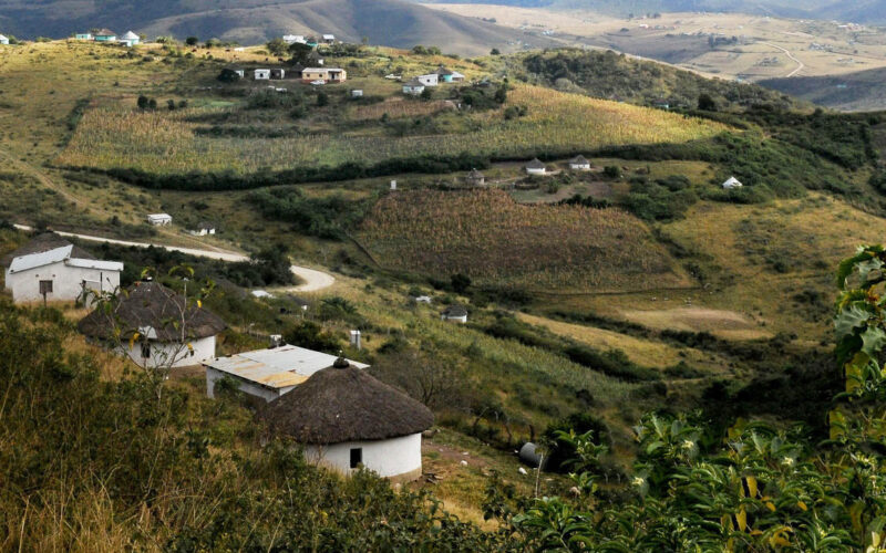 Zulu land dispute: Ingonyama Trust furore highlights the problem of insecure land tenure for millions of South Africans in rural areas