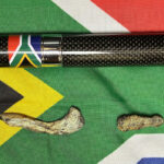 South-African-hominin-fossils