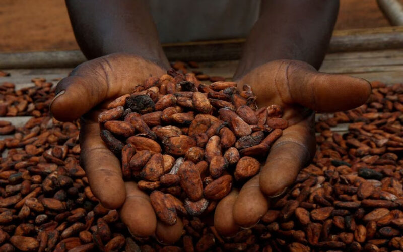 Ivory Coast cocoa regulator scraps stockpile exemption for bean grinders