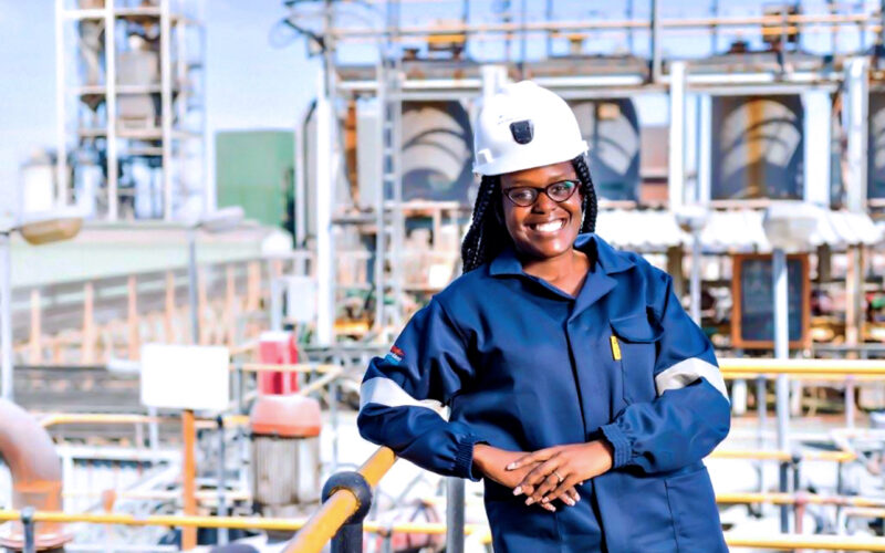 Africa should be at the centre of critical mineral supply chain diversification – experts