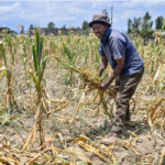 Climate-change_subsistence-farmer