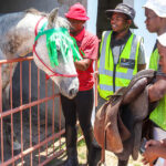 How_Bandile_Baartjies_is_making_horse_riding_accessible_5