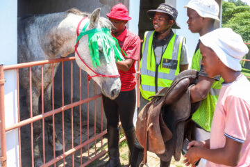 Giddy Up! How Bandile Baartjies is making horse riding accessible