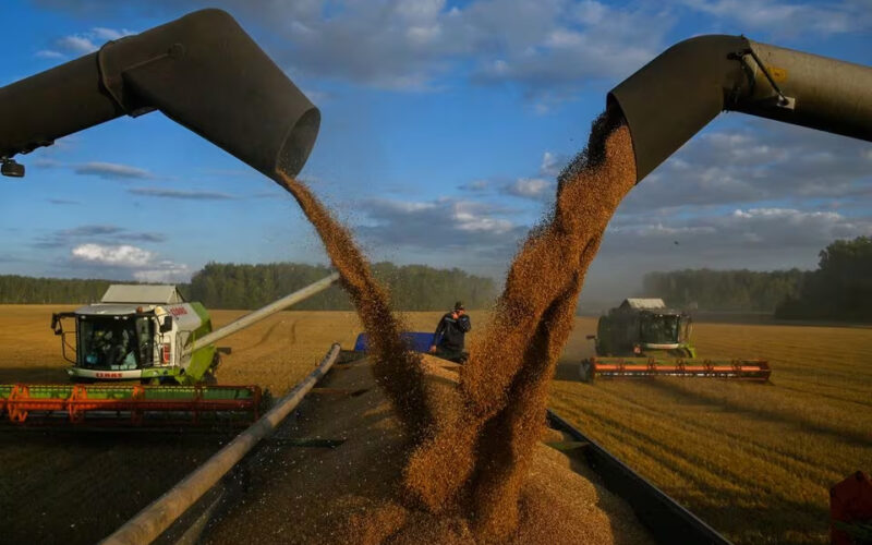 Russia says first free grain shipments to Africa are on their way