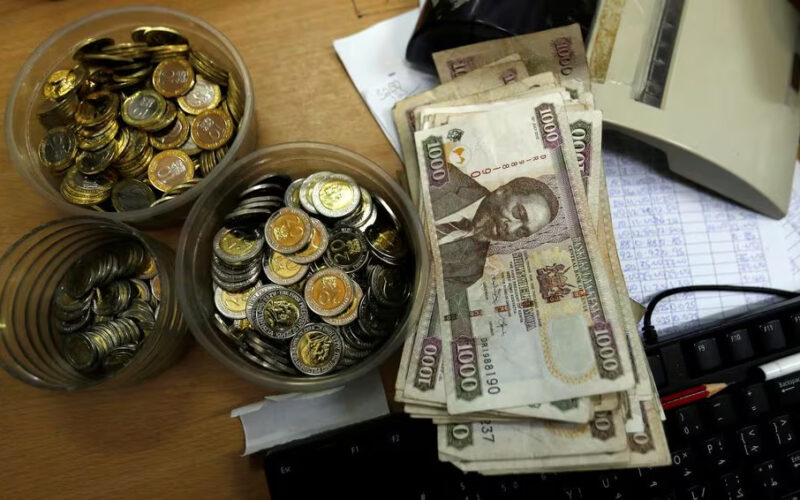 AFRICA-FX-Kenyan and Zambian currencies seen falling, Ghana’s steady