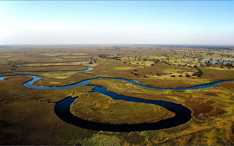 Ina-Maria Shikongo deploys her art to protect the Okavango Delta from big oil