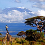 Tanzania-tourism